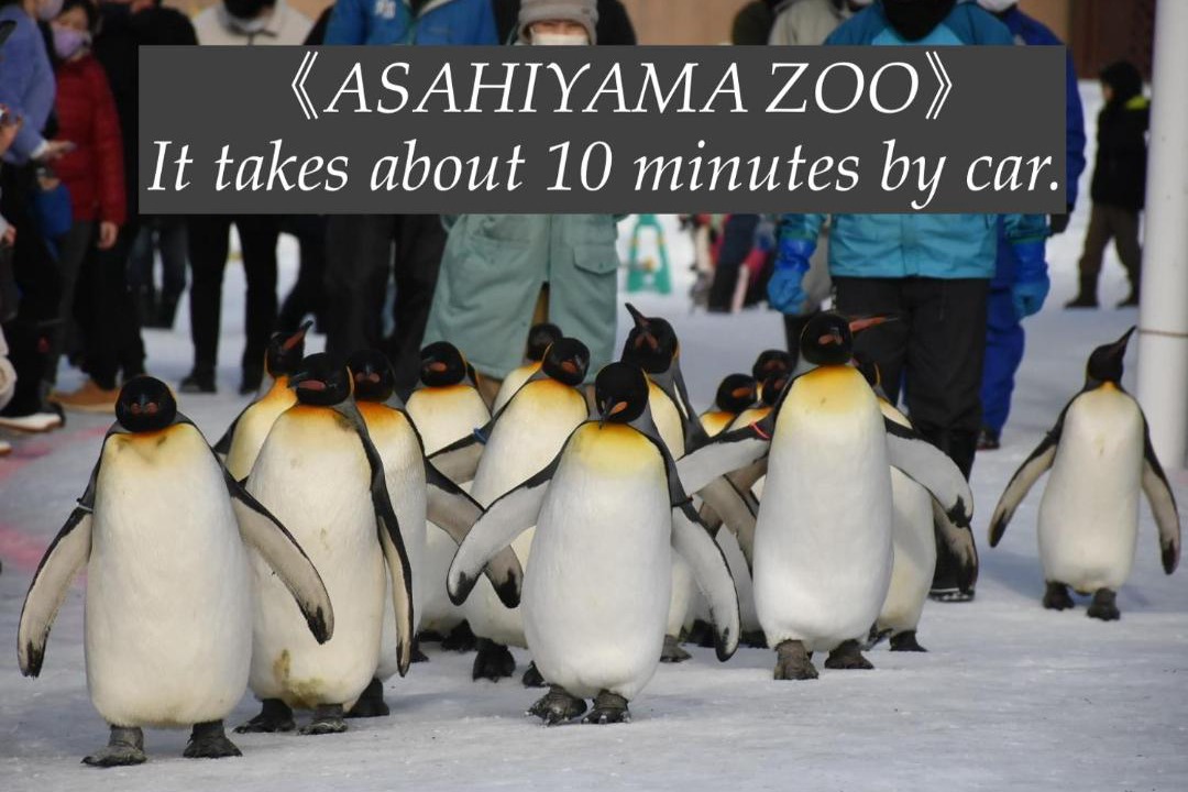 Photo of Others in Asahikawa