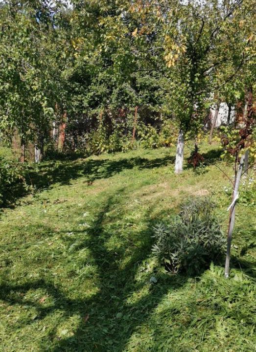 Photo of Others in Tryavna