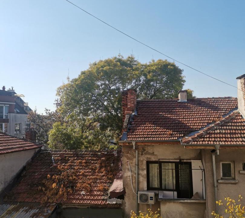 Photo of Others in Tryavna