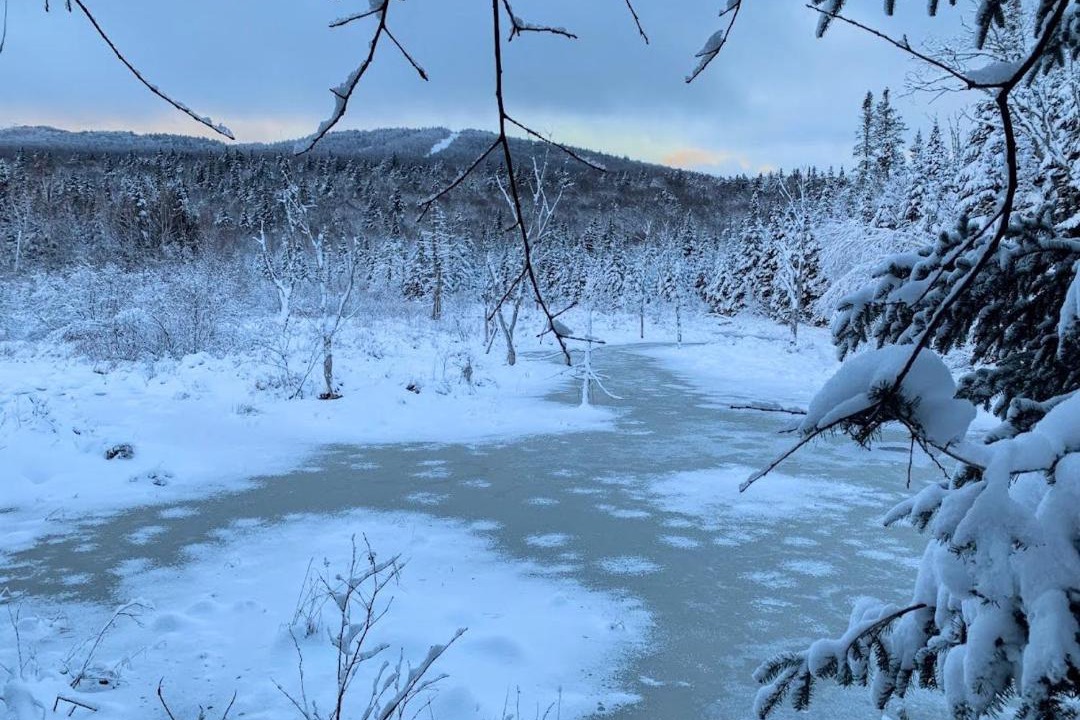 Photo of Others in Bretton Woods