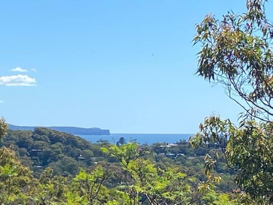 Photo of Outdoor in Avalon Beach