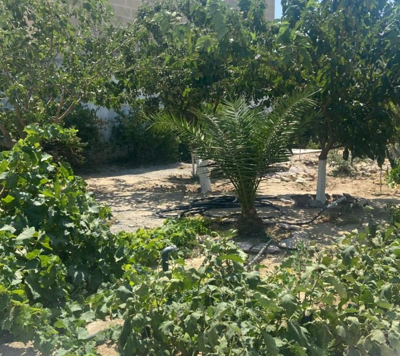 Photo of Outdoor in Baku