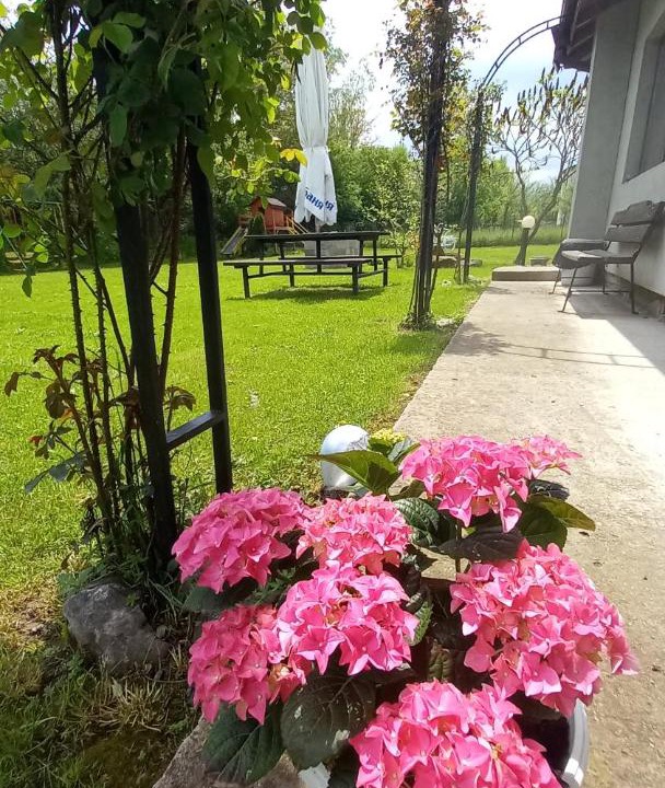 Photo of Outdoor in Apriltsi