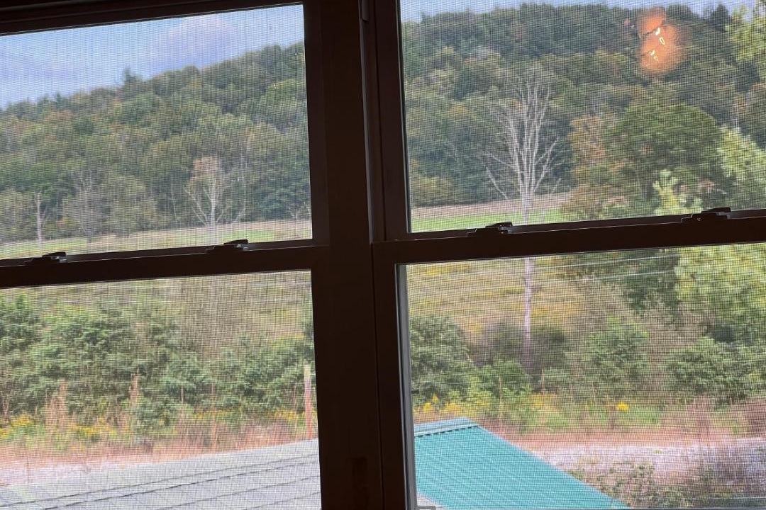 Photo of Others in Wellsboro
