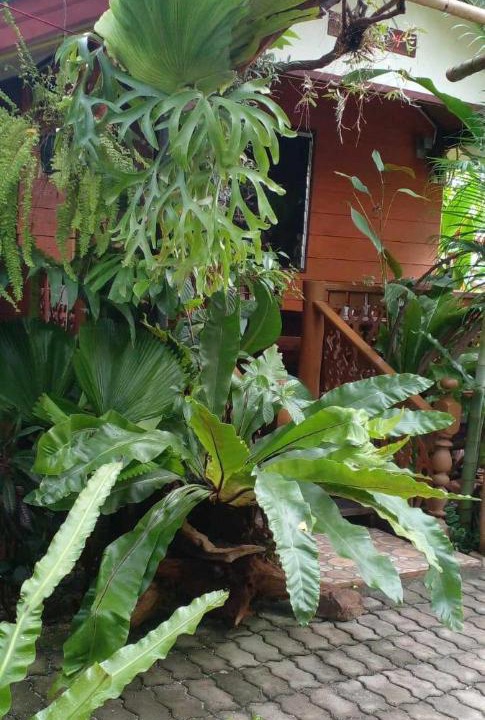 Photo of Others in San Pu Loei