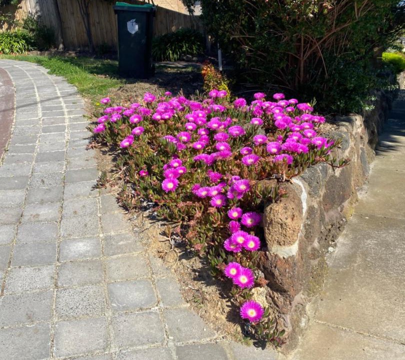 Photo of Outdoor in Doncaster