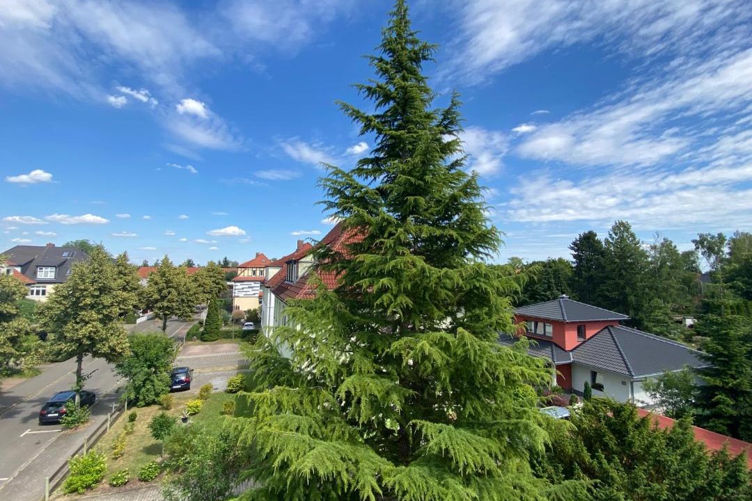 Photo of Others in Borna