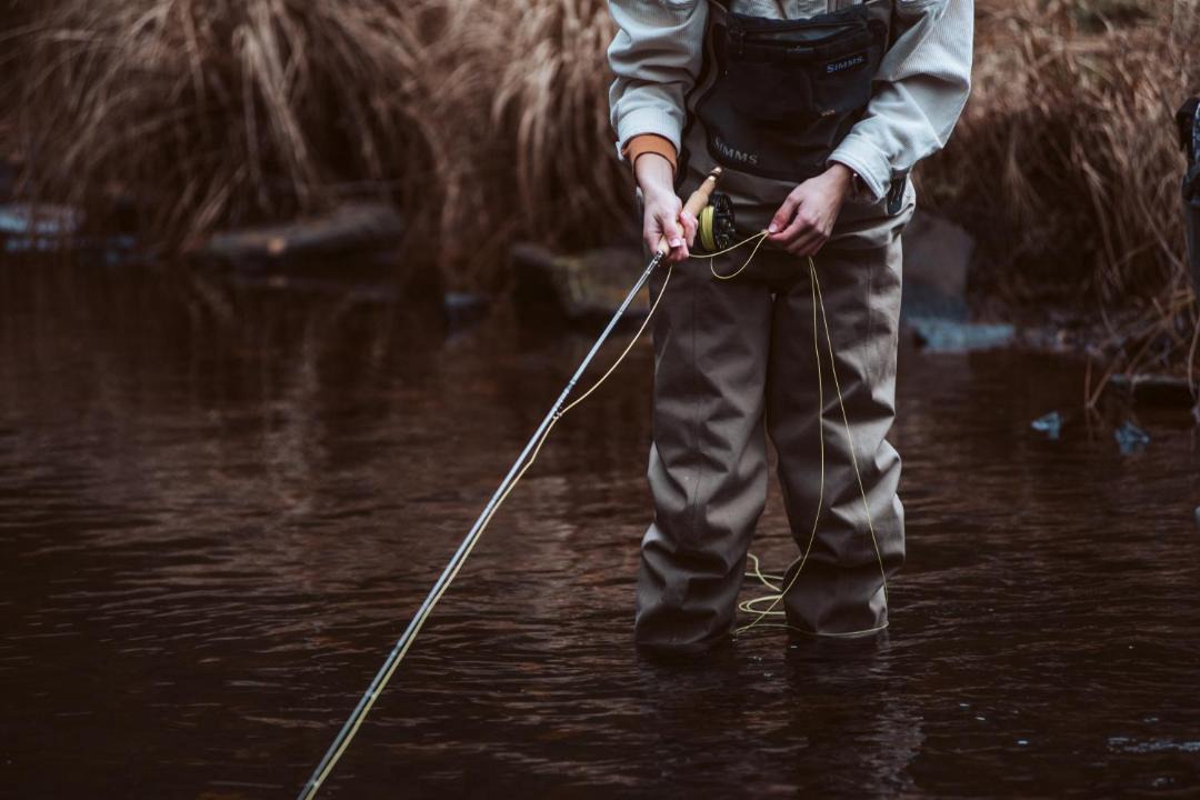 Photo of Others in White Lake