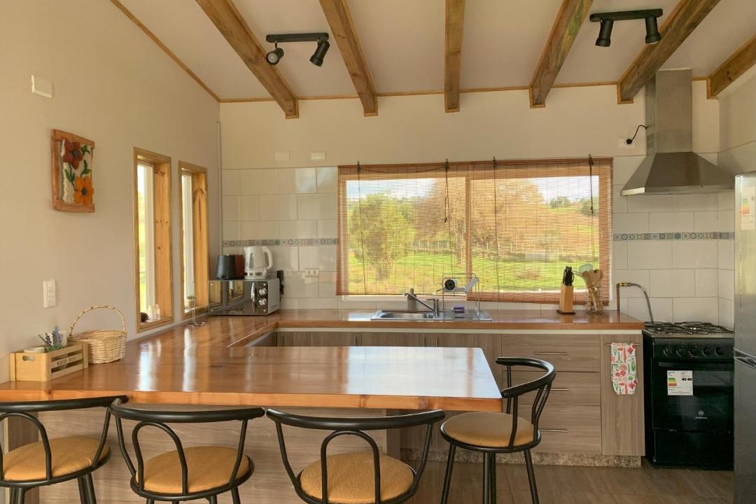 Photo of Kitchen in Puyehue