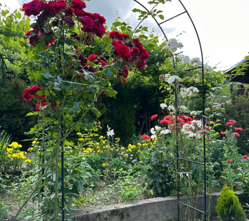 Photo of Outdoor in Elena