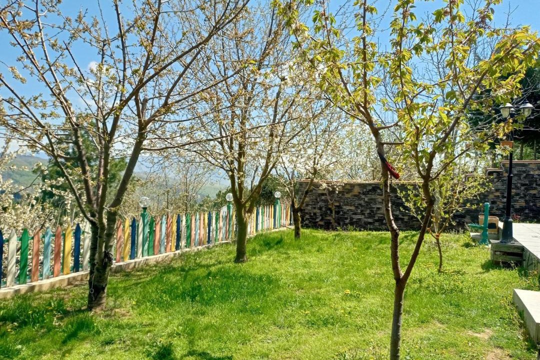 Photo of Others in Osmangazi