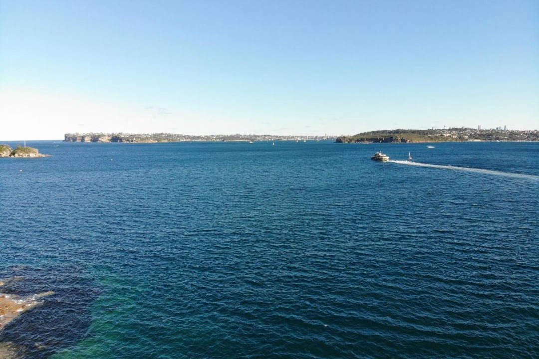 Photo of Others in Manly