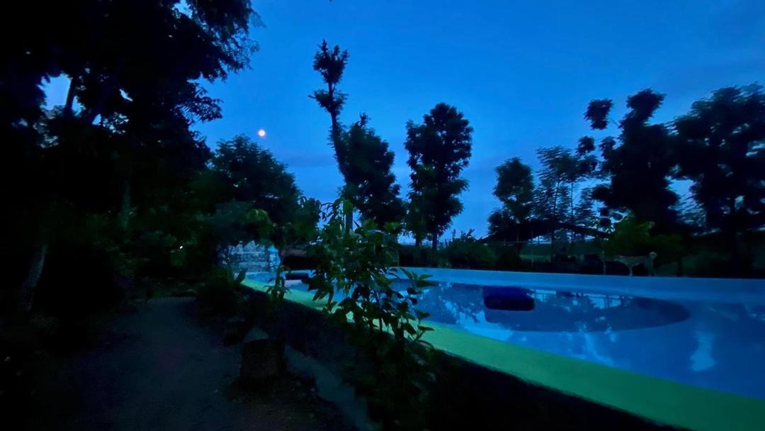 Photo of Others in Sauraha