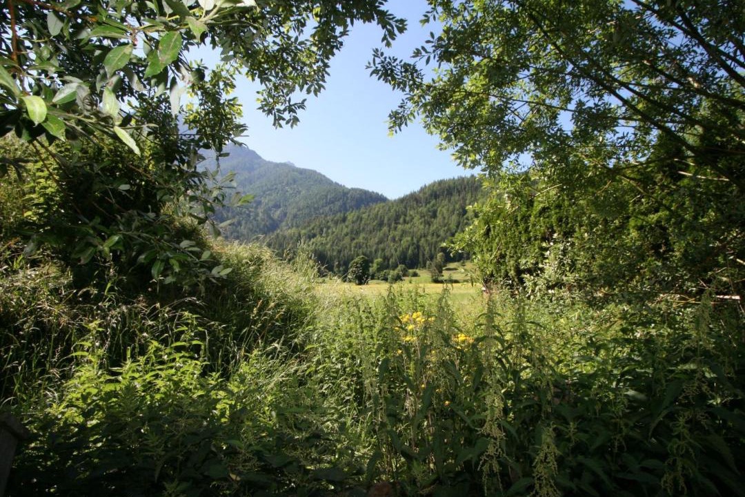 Photo of Outdoor in Waidring