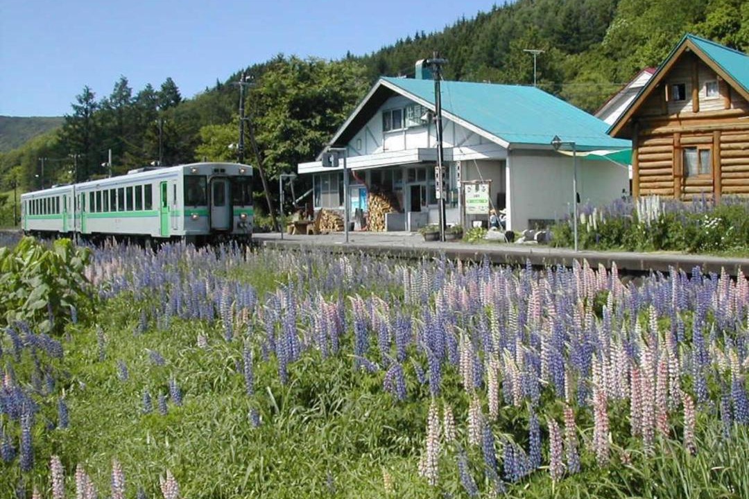 Photo of Others in Hirafu