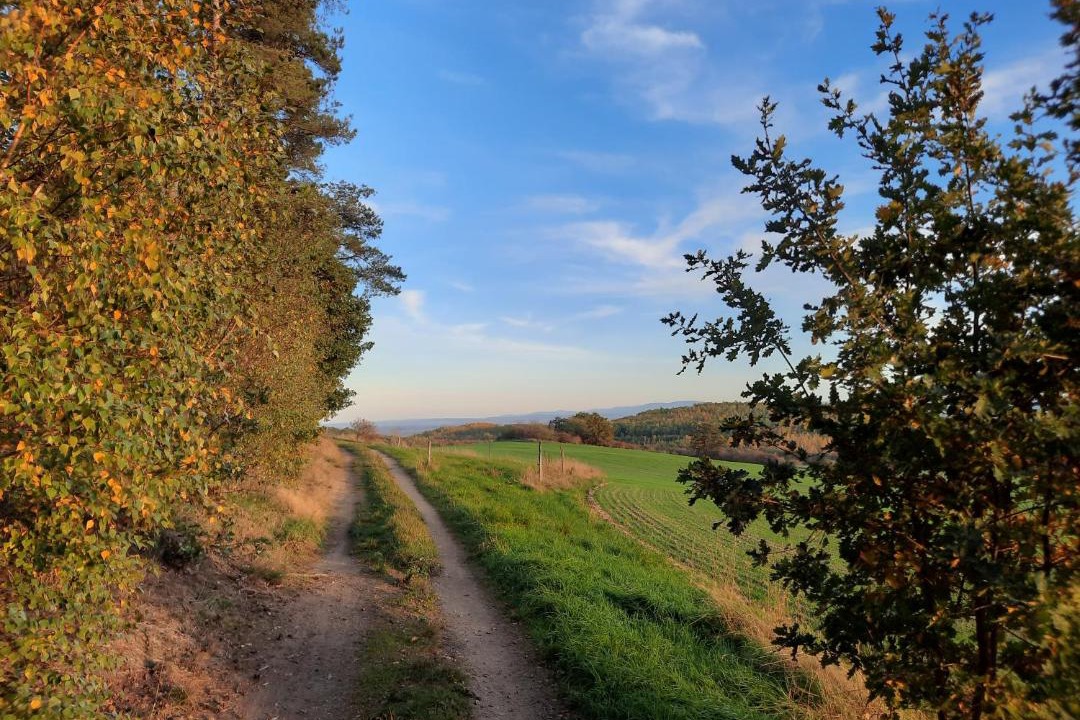 Photo of Others in Markersdorf