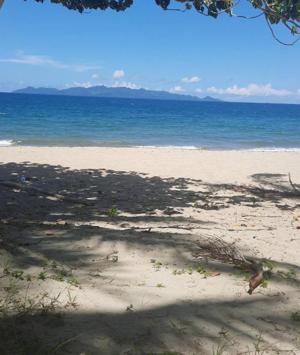Photo of Outdoor in Pacific Harbour