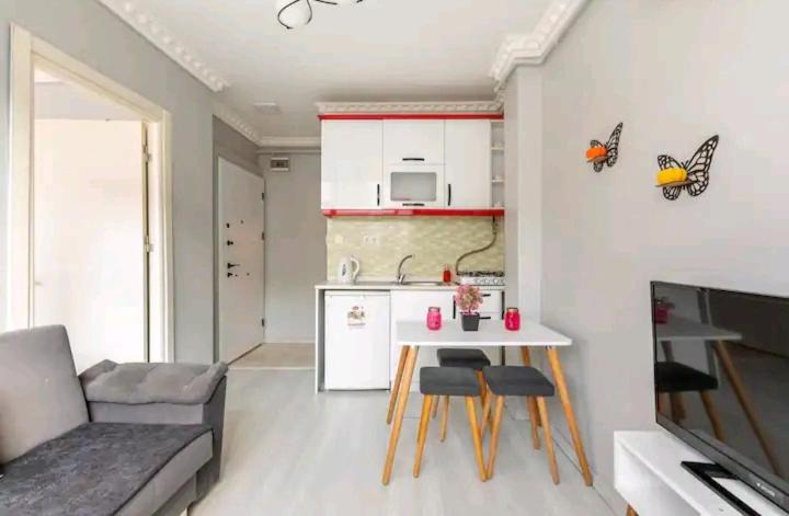 Photo of Livingroom in Tophane