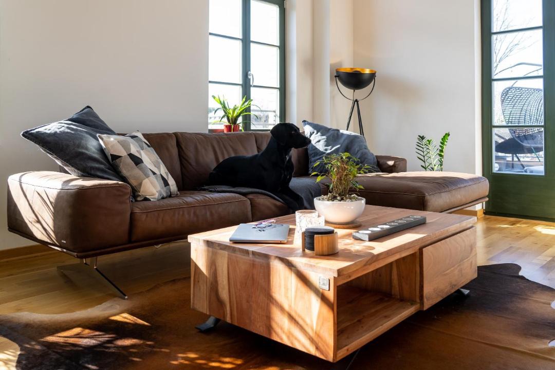 Photo of Livingroom in Mockern