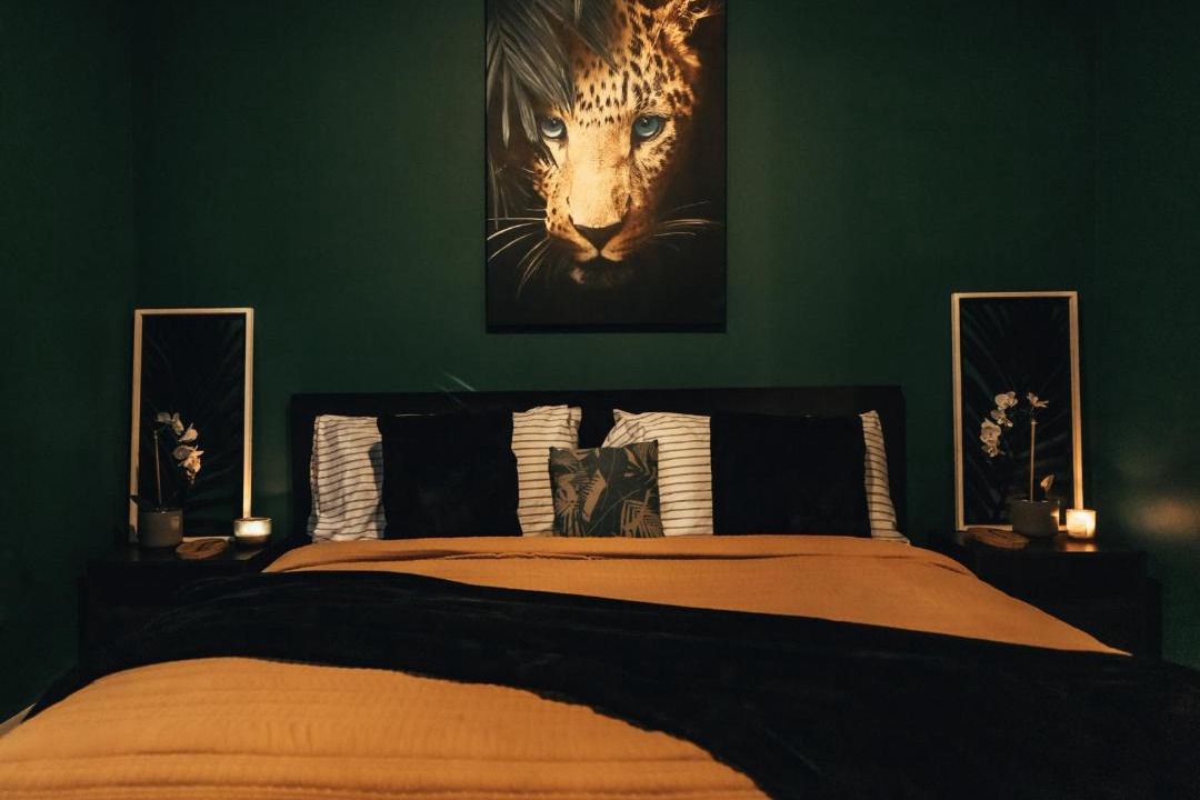 Photo of Bedroom in Oak Lawn