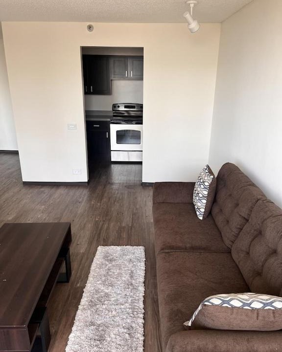 Photo of Livingroom in West Loop Gate
