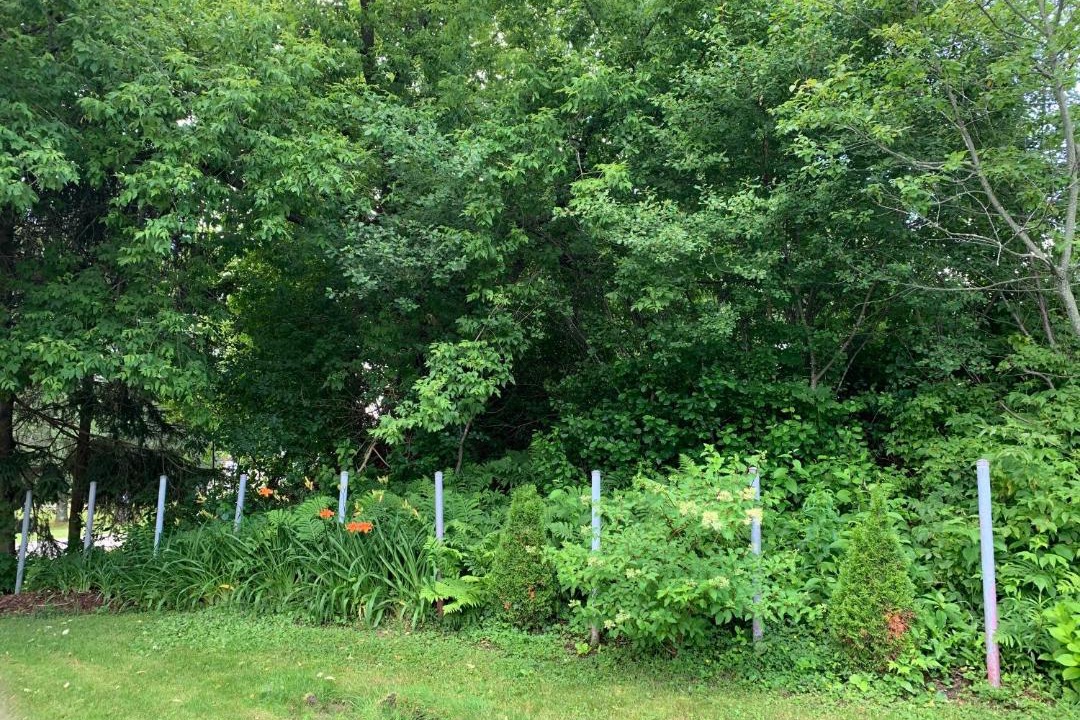 Photo of Outdoor in Sherbrooke