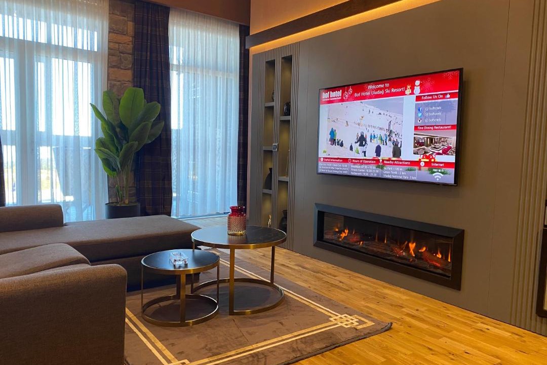 Photo of Livingroom in Osmangazi