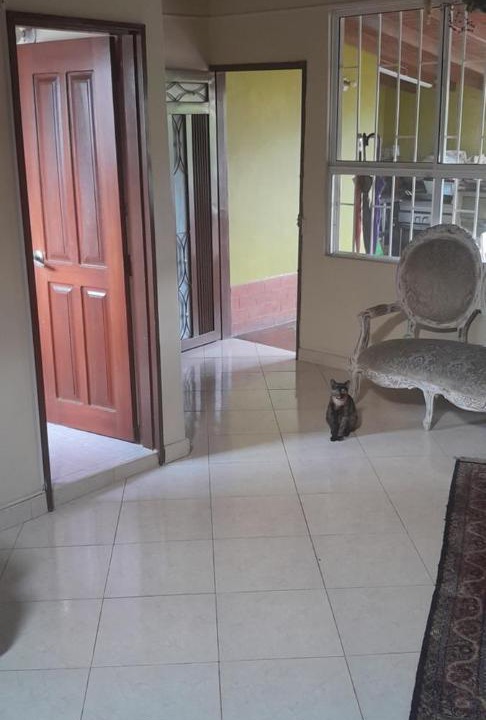 Photo of Others in Laureles