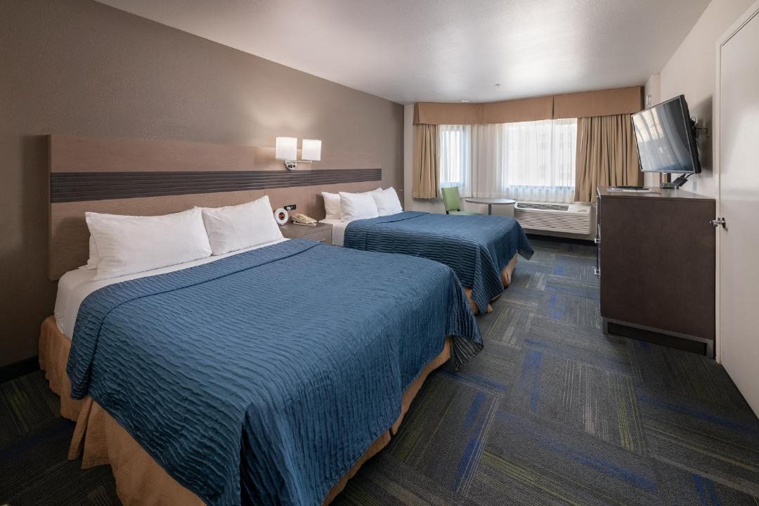 Photo of Bedroom in Cow Hollow