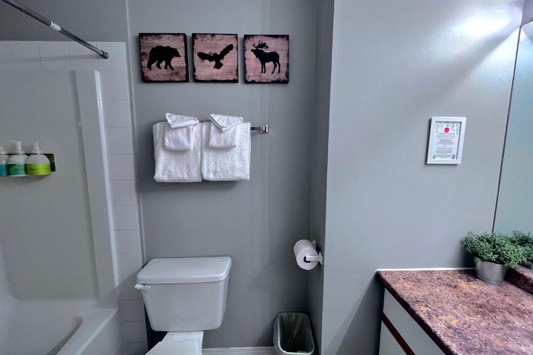 Photo of Bathroom in Canmore