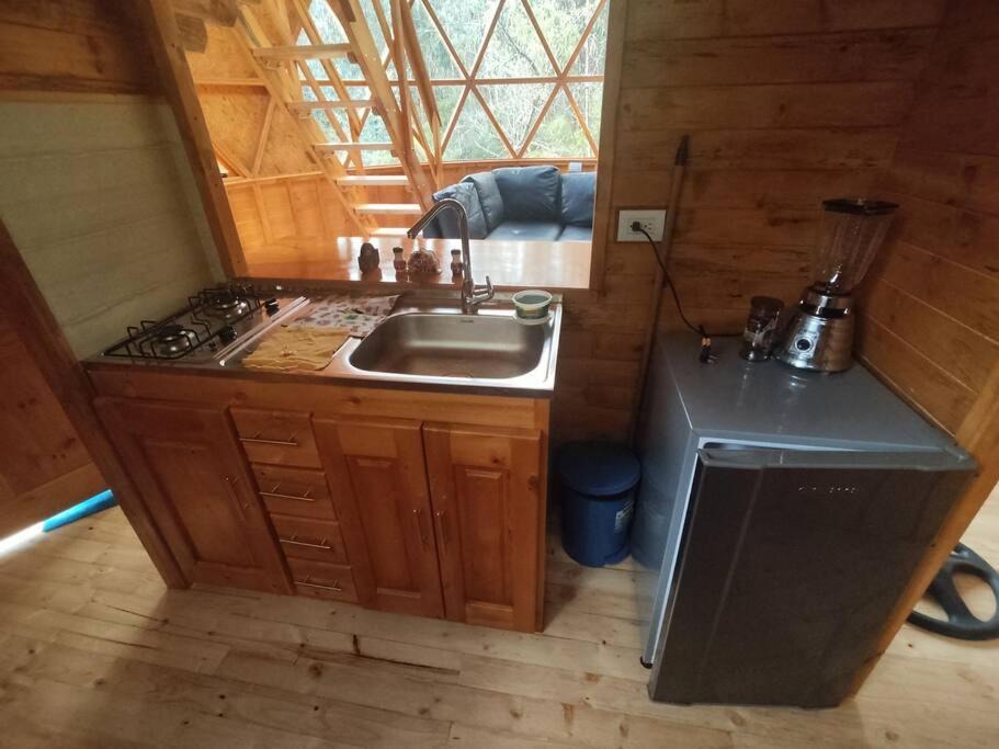 Photo of Kitchen in Floresta