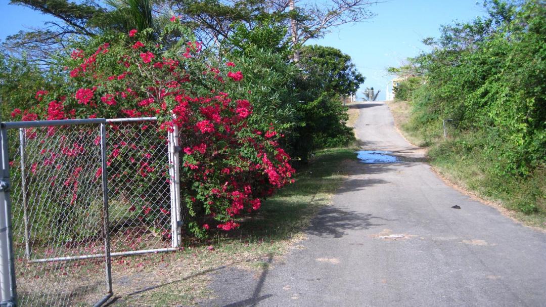 Photo of Others in Puerto Diablo