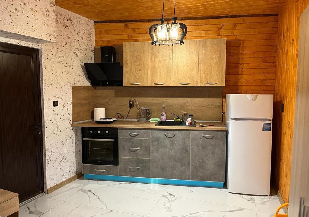 Photo of Kitchen in Sarnitsa