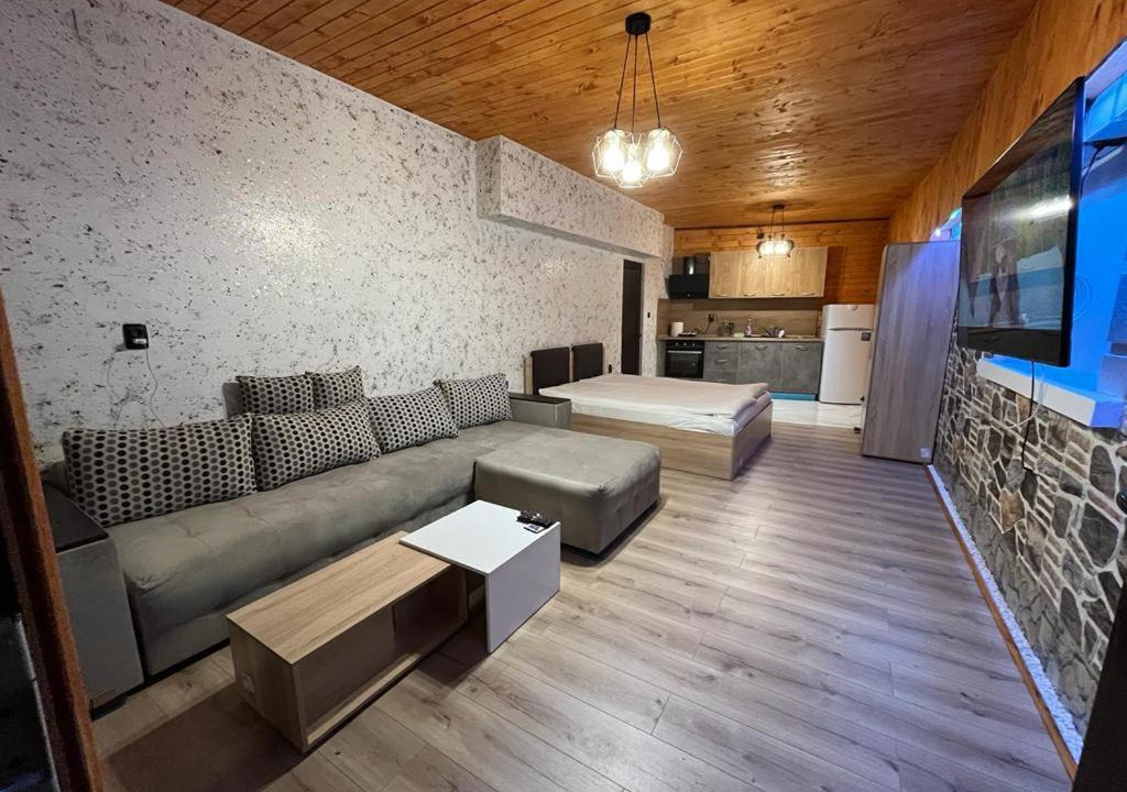 Photo of Livingroom in Sarnitsa