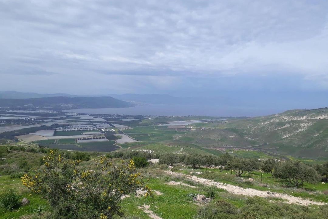 Photo of Outdoor in Ajloun Governorate