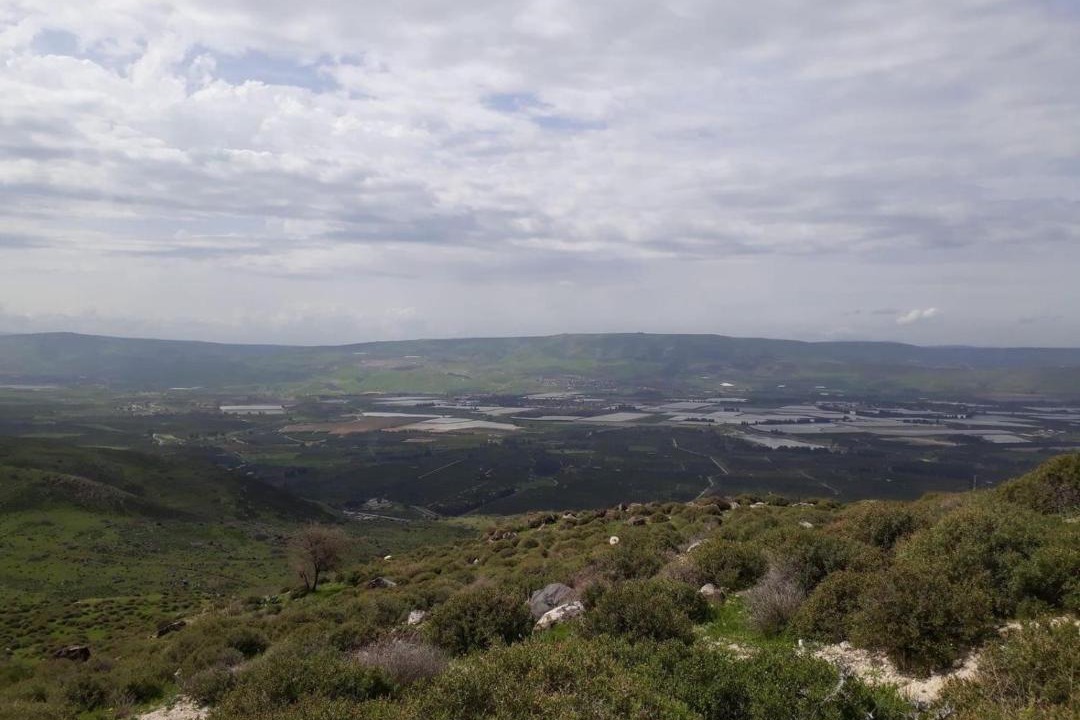Photo of Outdoor in Ajloun Governorate
