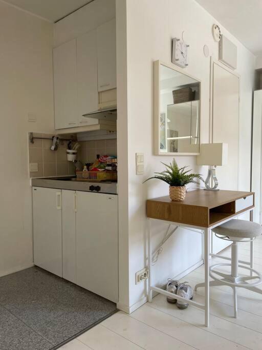 Photo of Kitchen in Lantinen District