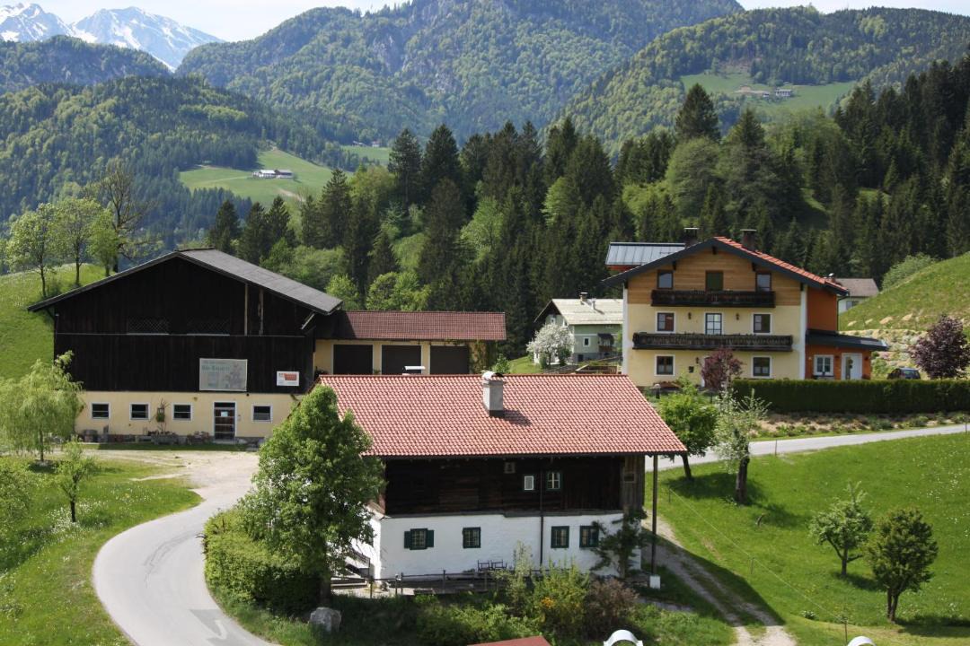 Photo of Others in Abtenau