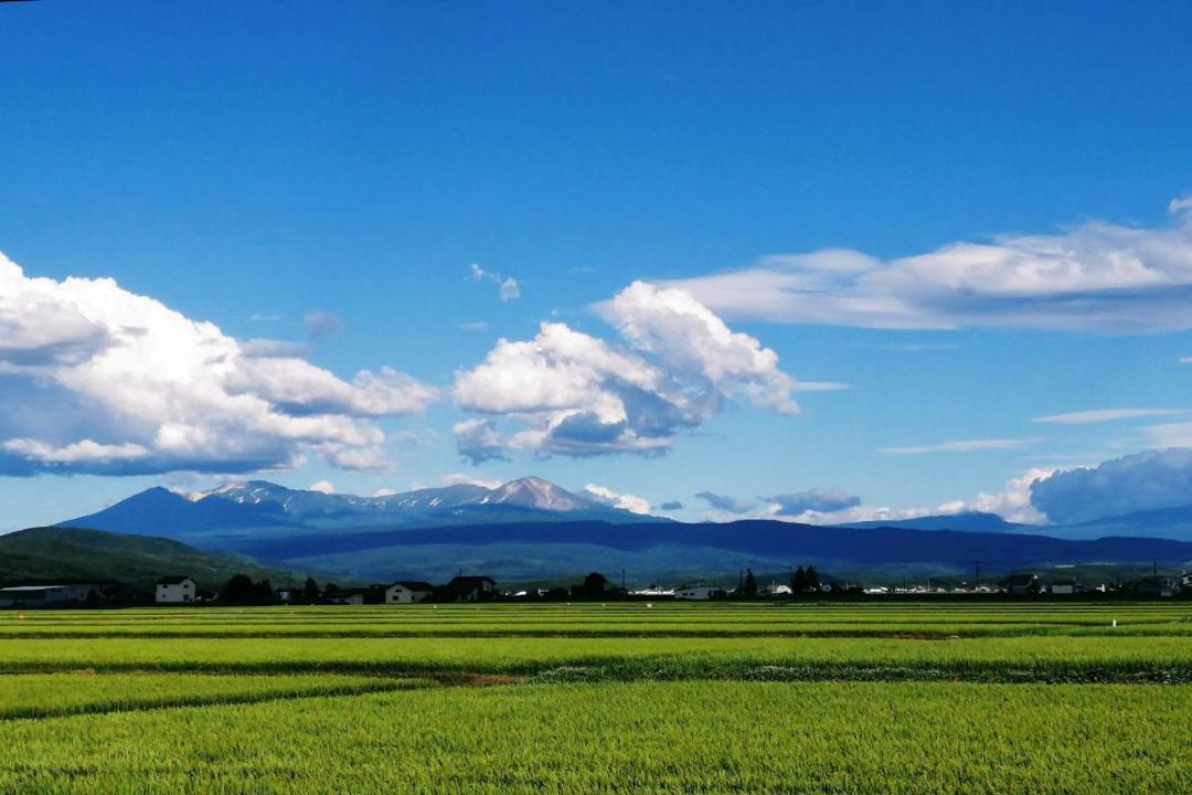Photo of Others in Asahikawa