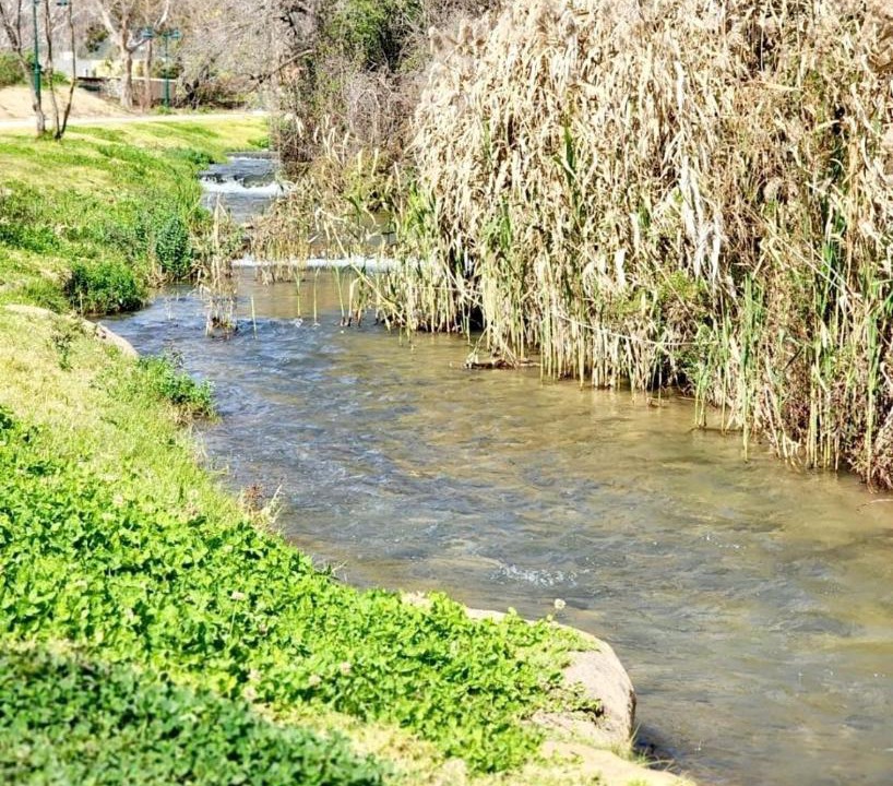 Photo of Others in Bruchim Qela' Alon
