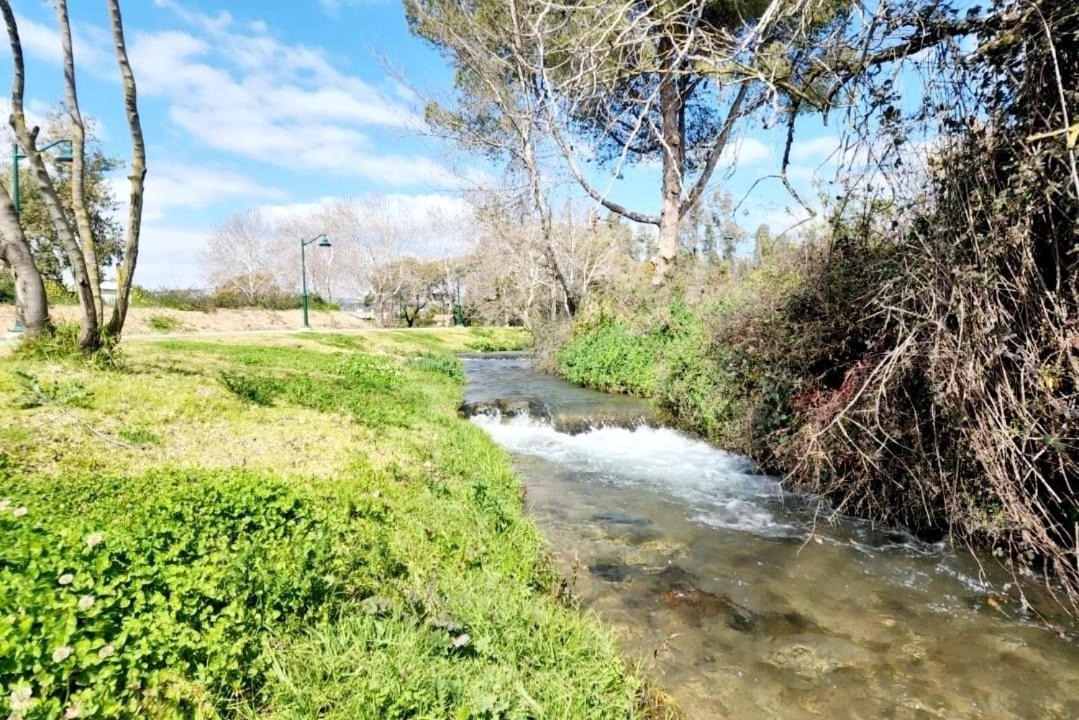 Photo of Others in Bruchim Qela' Alon