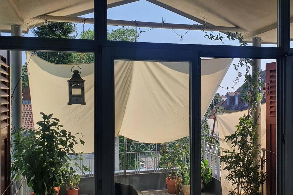 Photo of Patio Balcony in Neuenheim