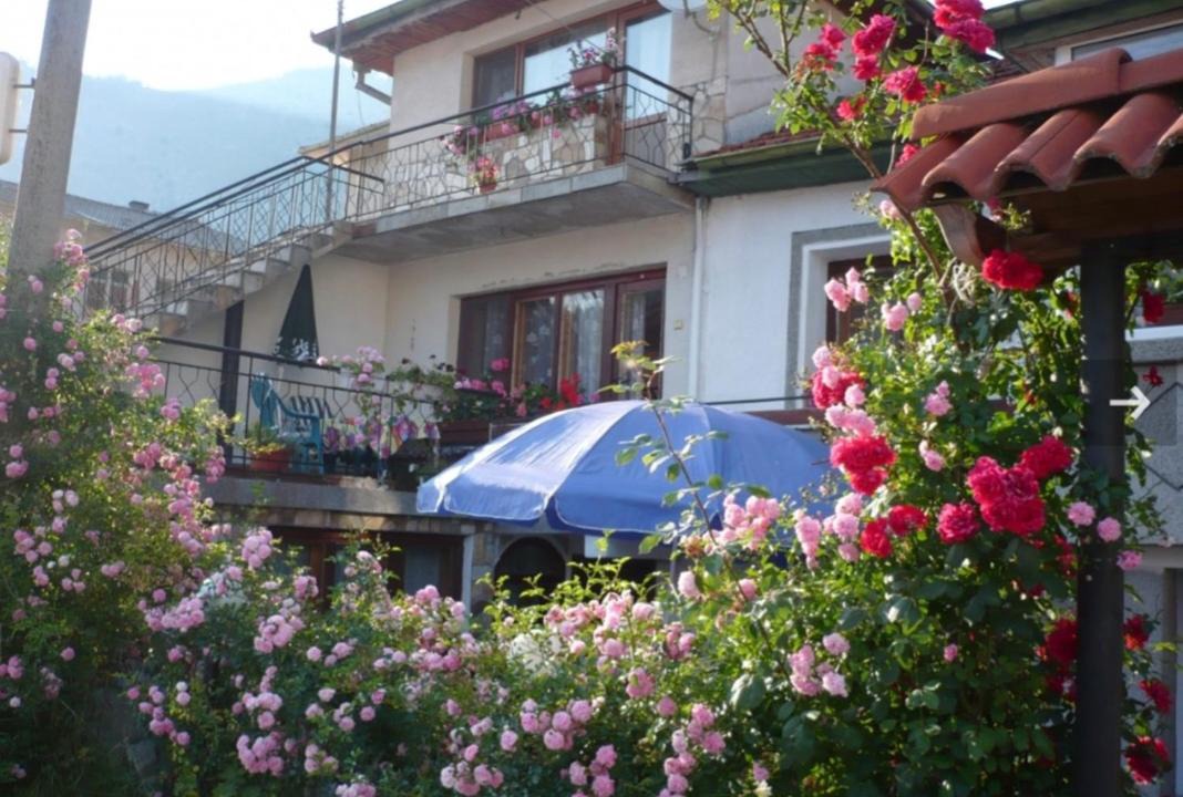 Photo of Others in Trigrad