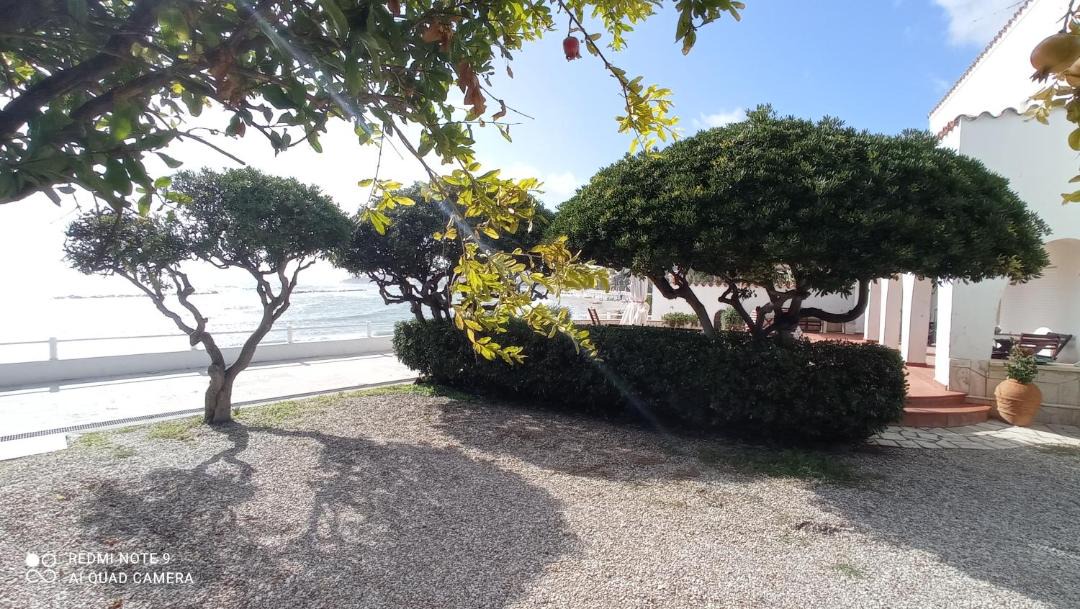 Photo of Others in Santa Marinella