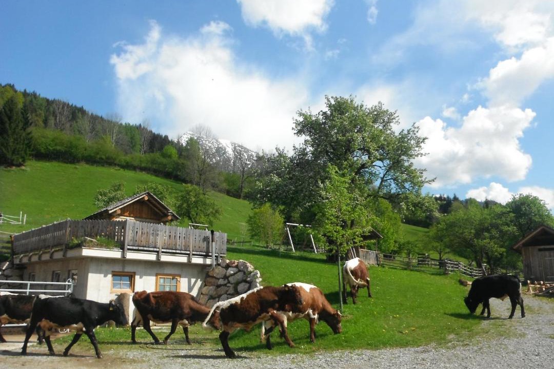 Photo of Others in Spital am Pyhrn