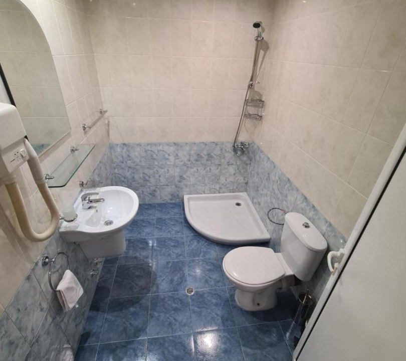 Photo of Bathroom in Dryanovo