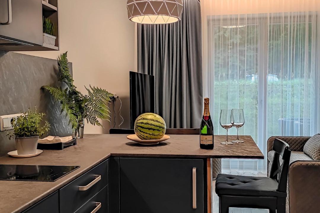 Photo of Kitchen in Juodkrante