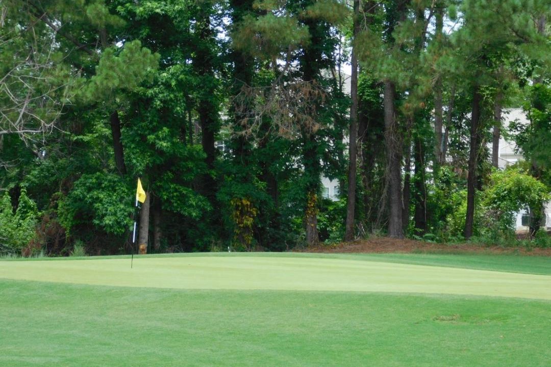 Photo of Outdoor in North Myrtle Beach
