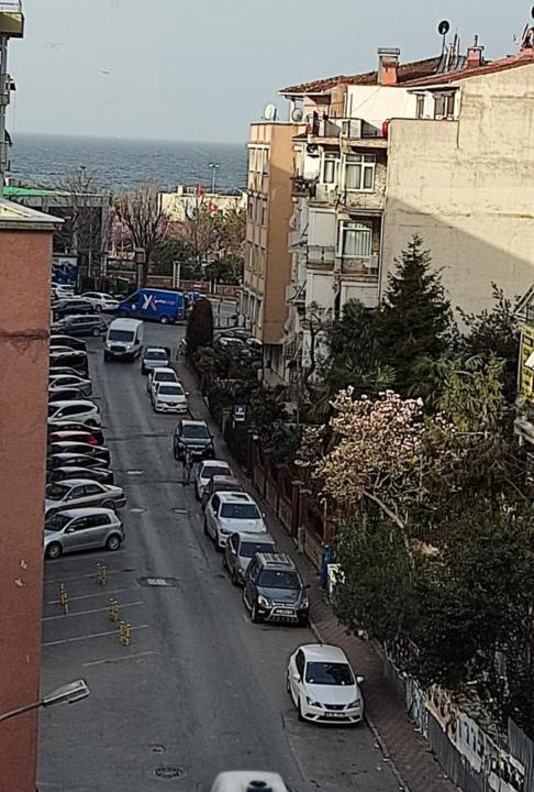 Photo of Others in Moda