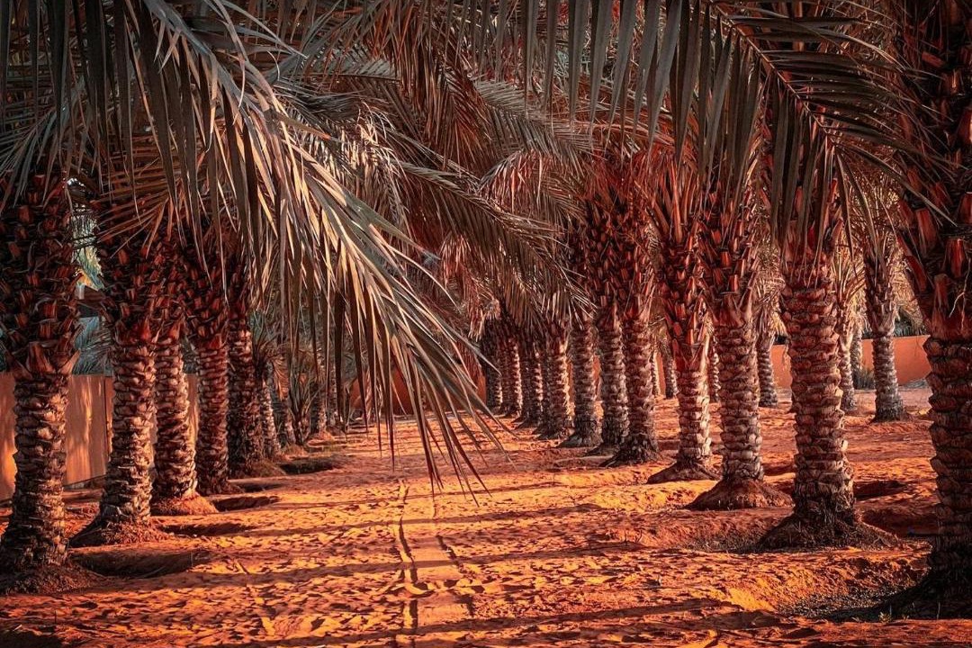 Photo of Others in Ras Al Khaimah